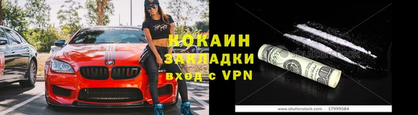 тгк Алзамай