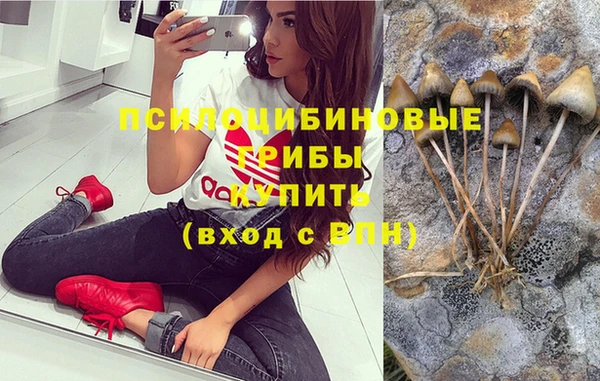 прущие крисы Алексеевка