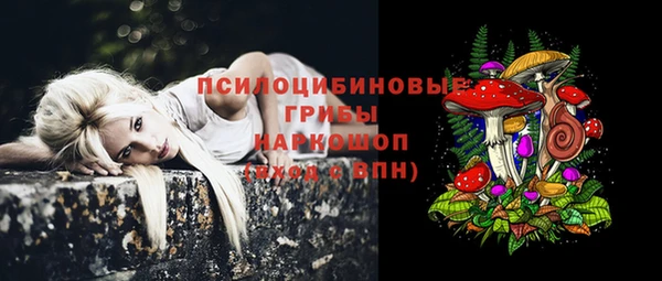 прущие крисы Алексеевка