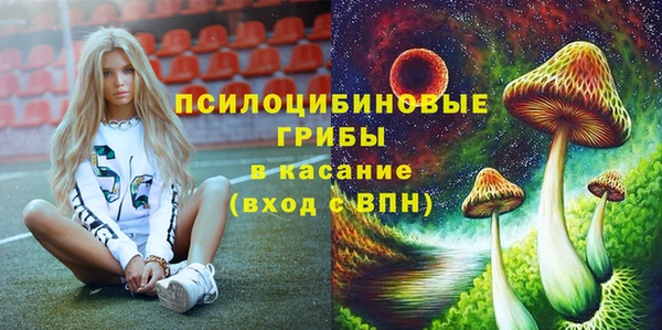 тгк Алзамай