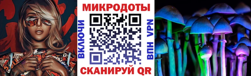 закладки  Заозёрный  hydra tor  Псилоцибиновые грибы Psilocybine cubensis 